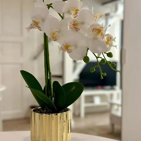 Apartamento Roxy 4a *